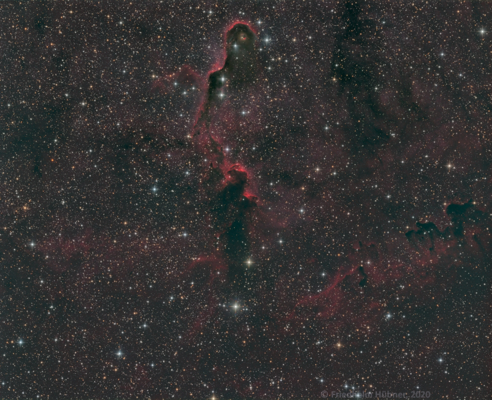 IC 1396a (Cep)