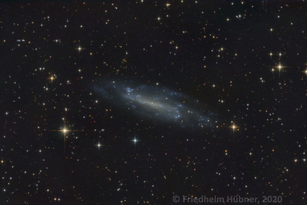 NGC 4236 (Dra)