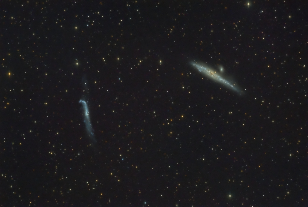 NGC 4631/4656 (CVn)