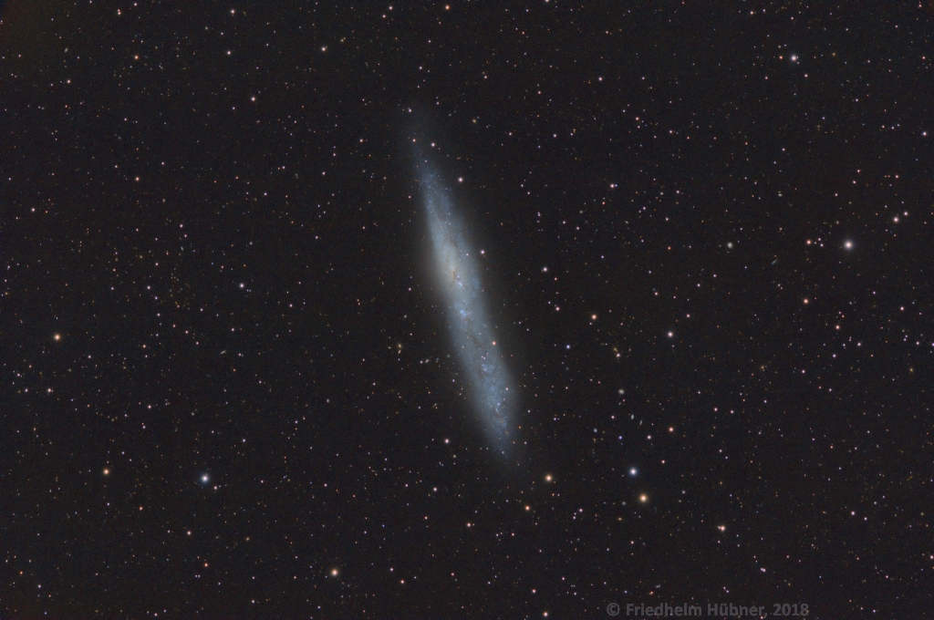 NGC 55 (Scl)