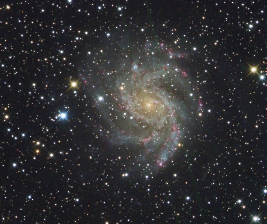 NGC 6946 (Cyg)