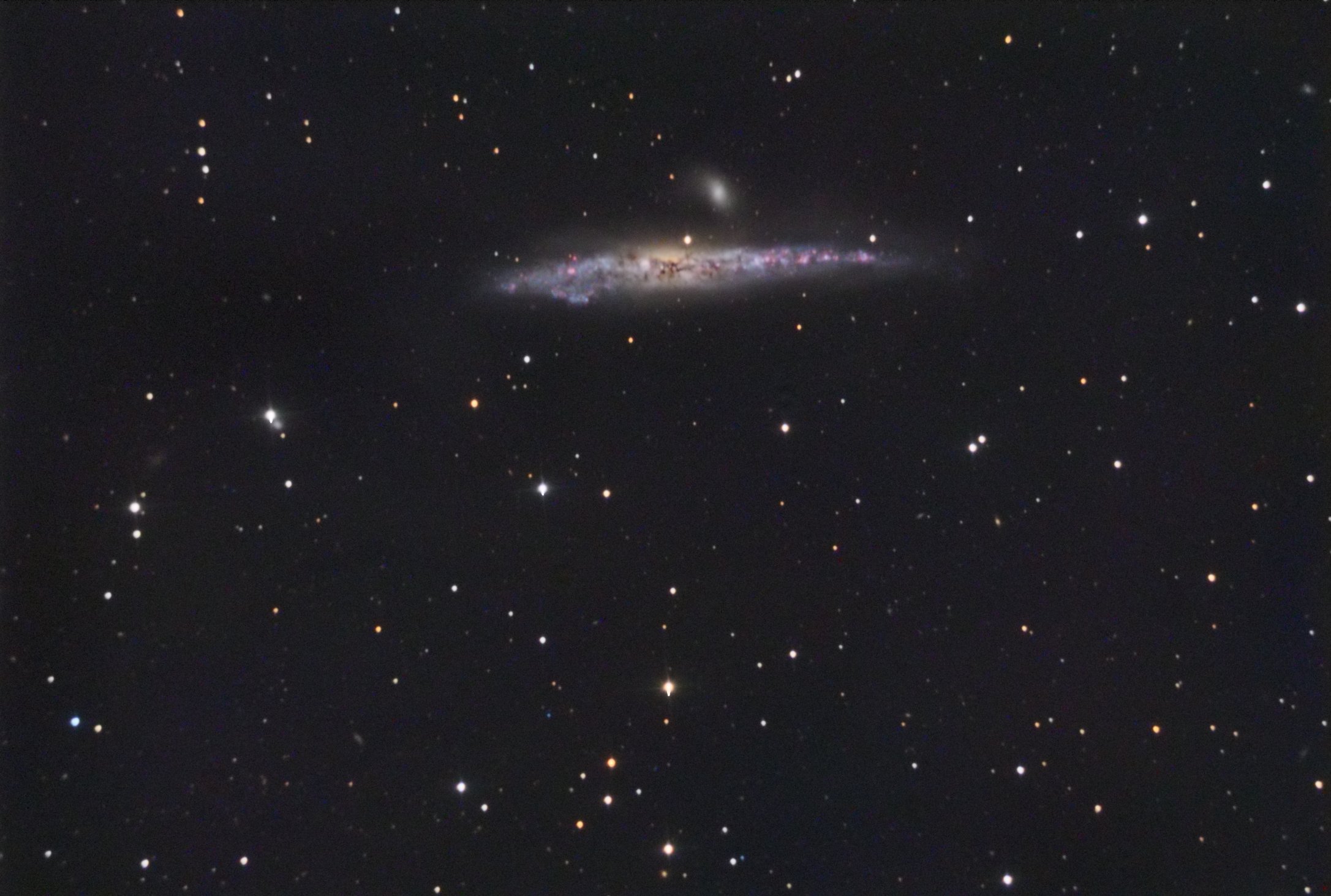 NGC 4631 (CVn)
