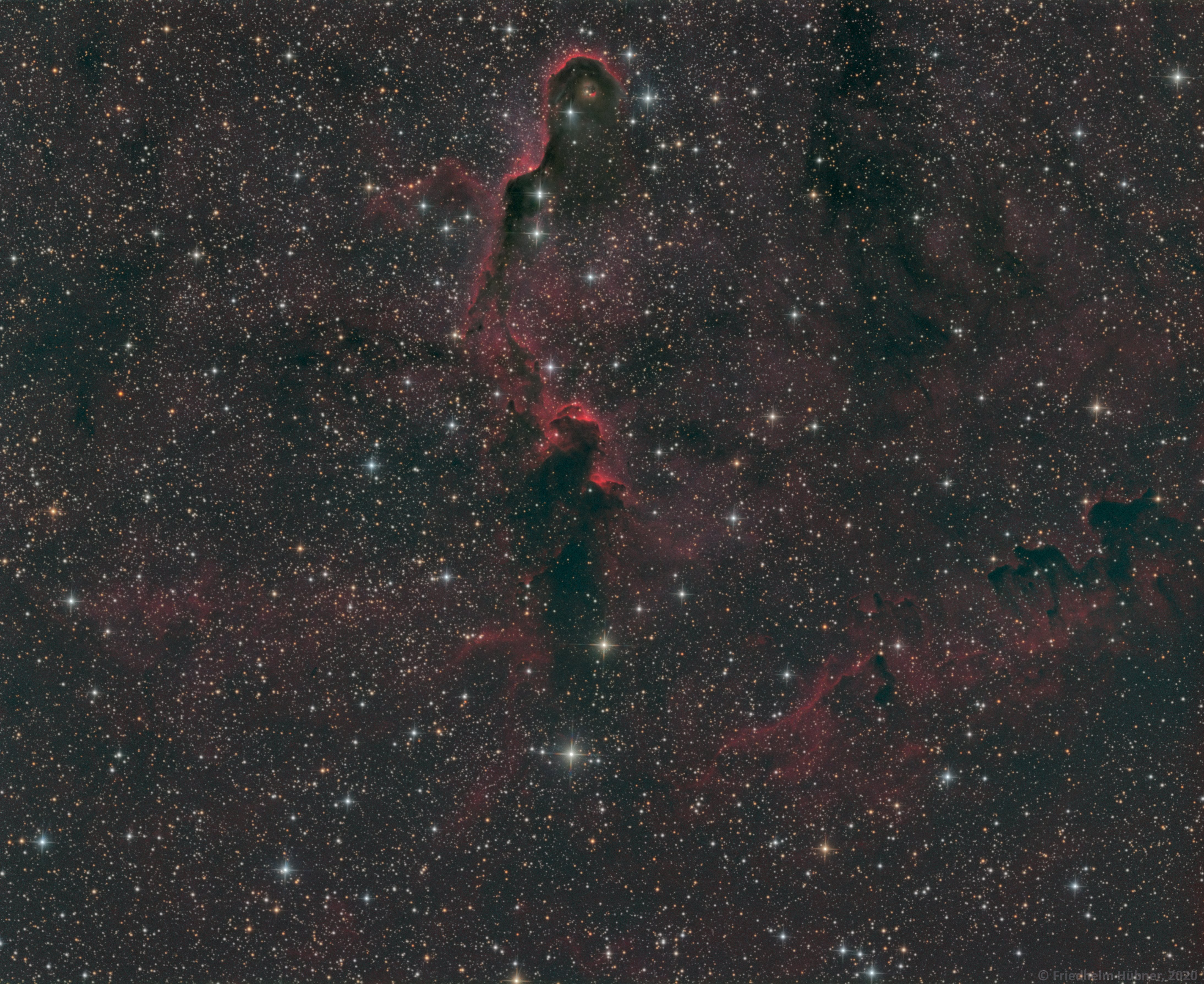 IC 1396a (Cep)