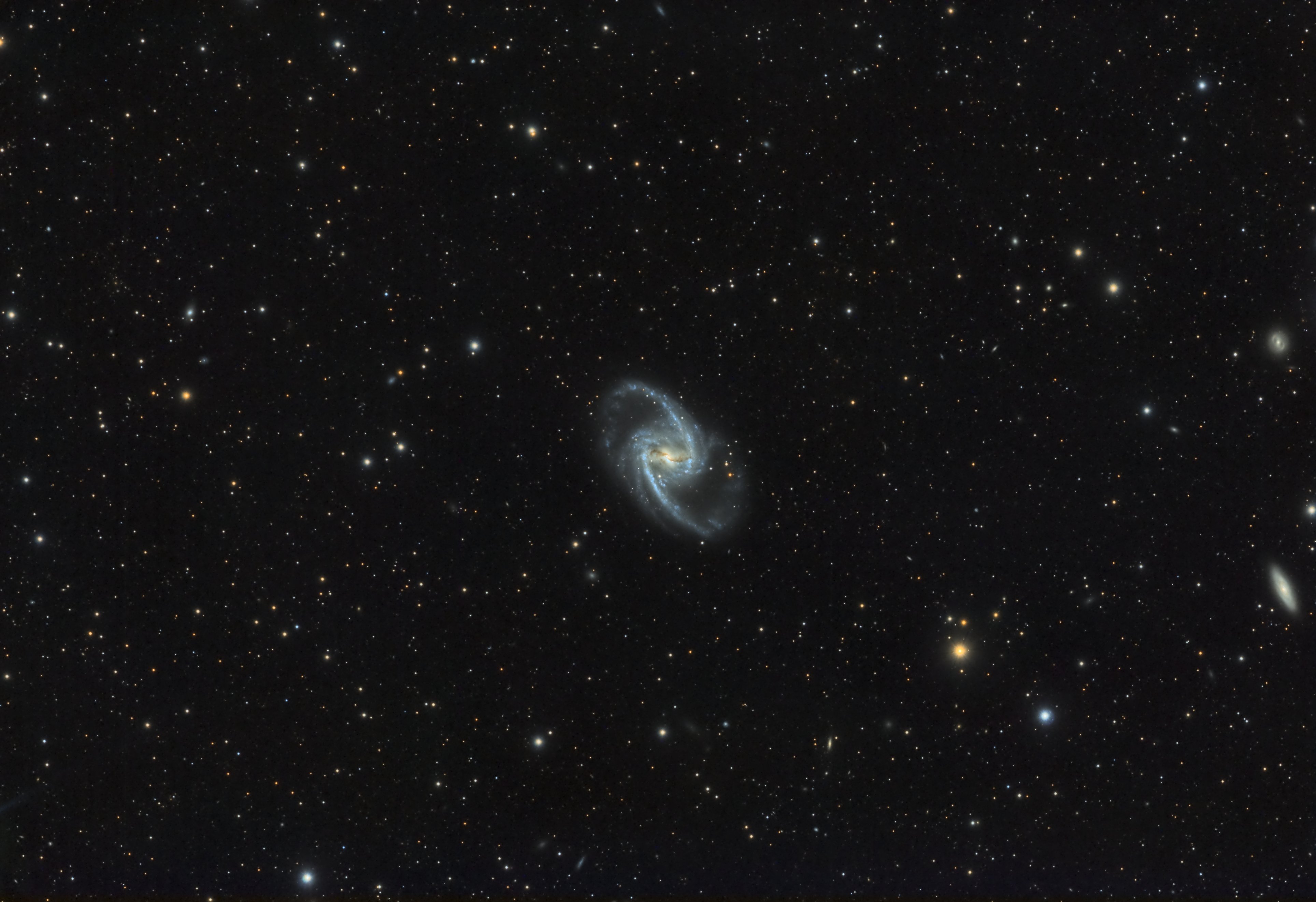 NGC 1365 (For)