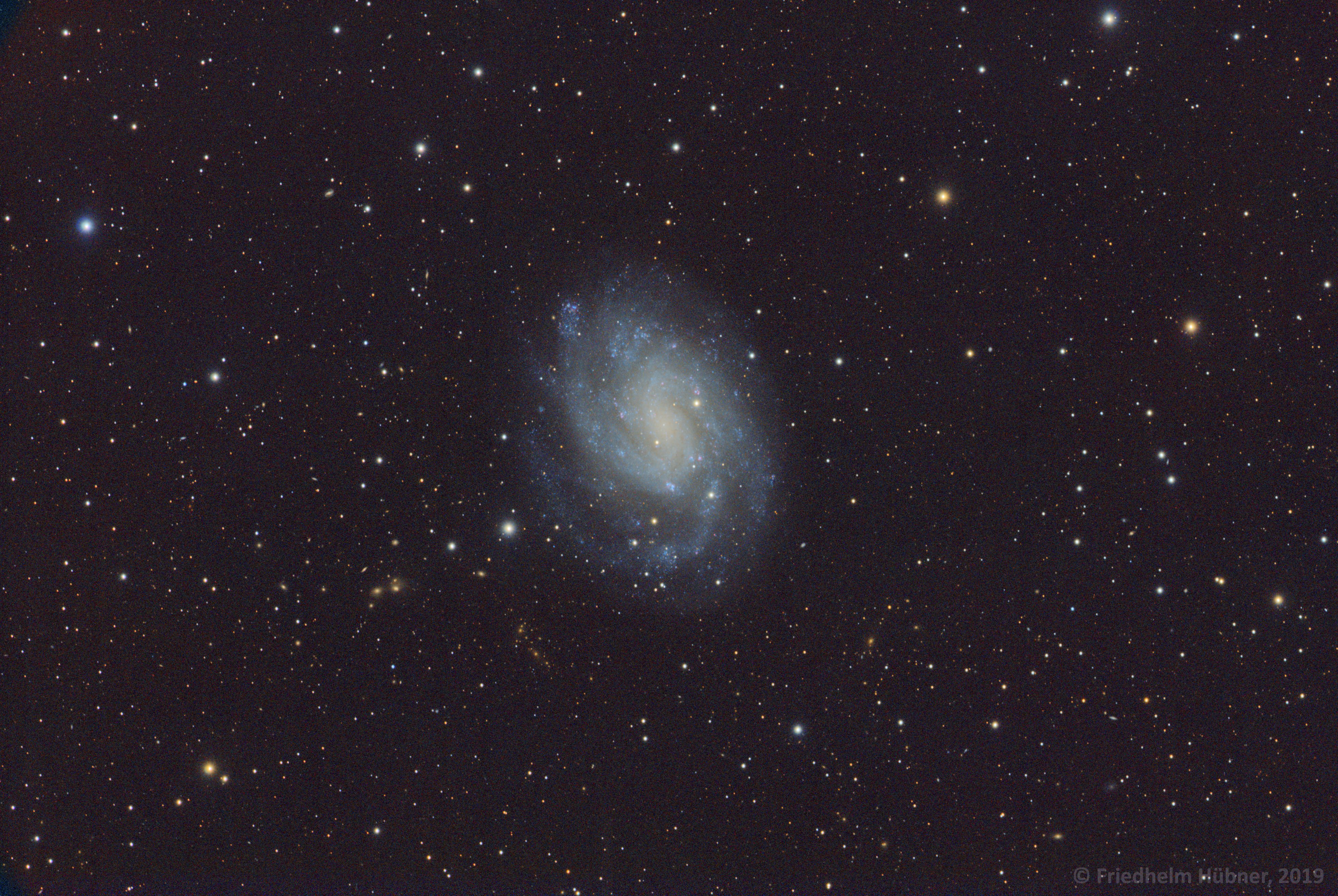 NGC 300 (Scl)