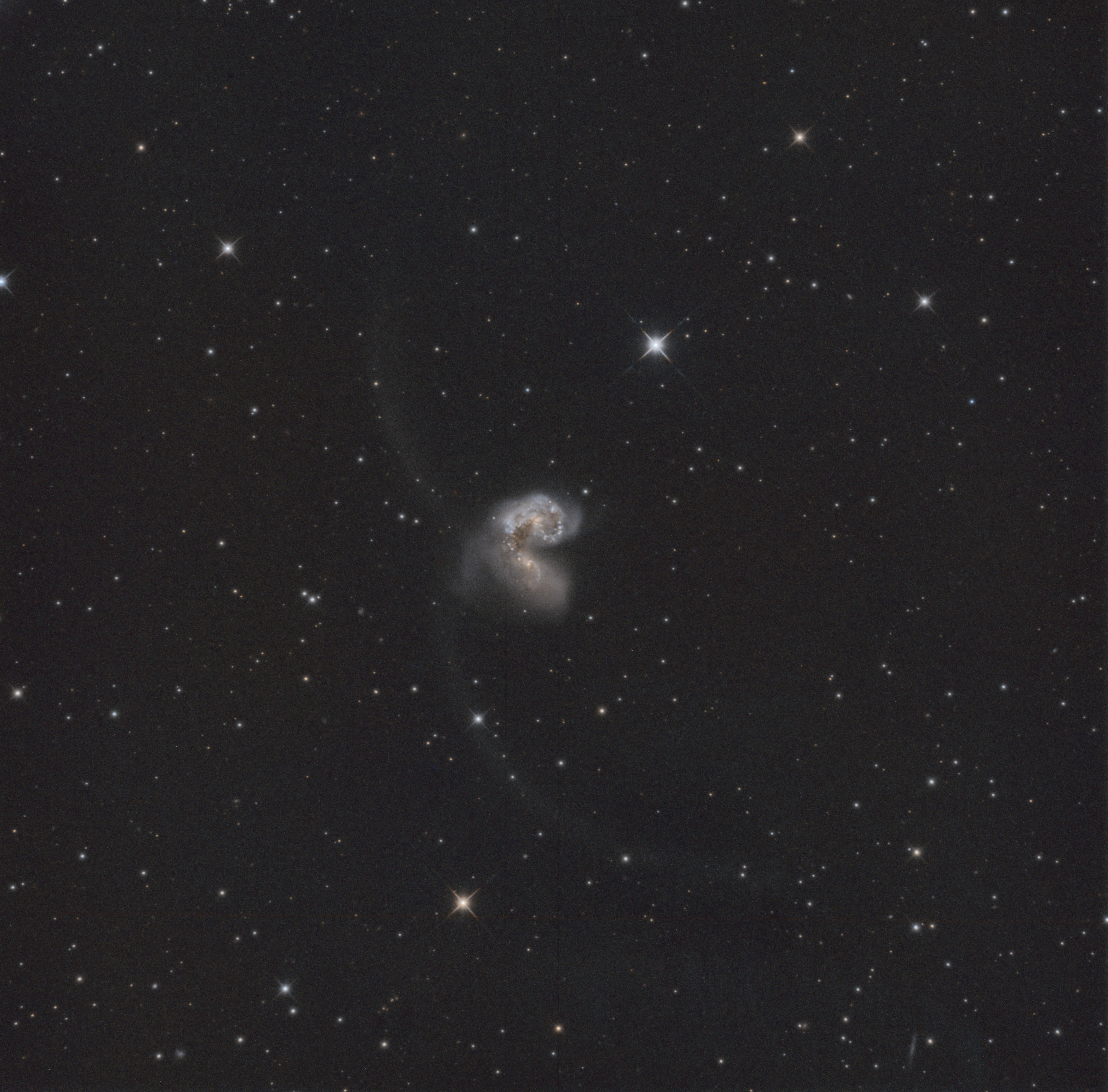 NGC 4038 (Crv)