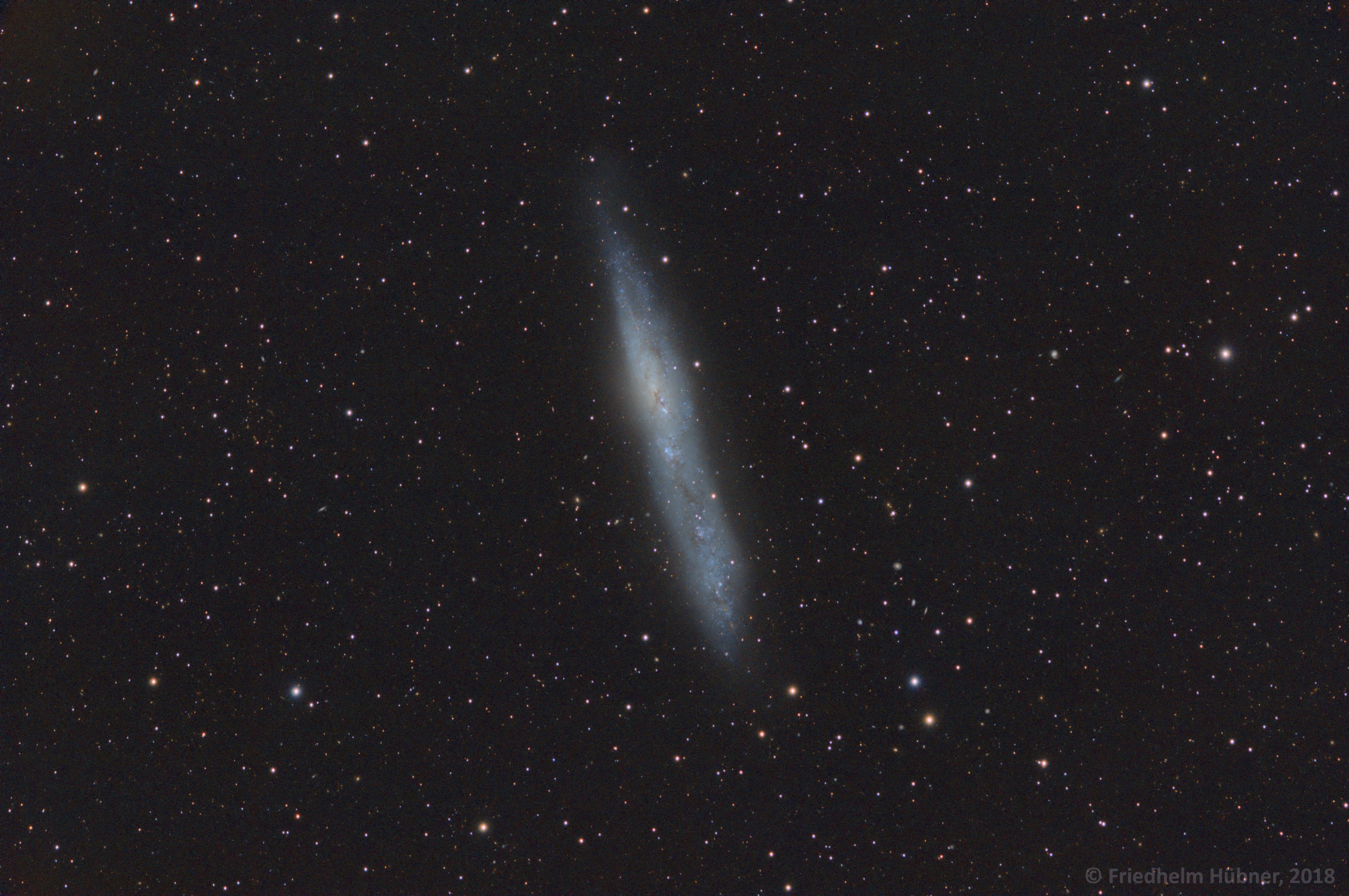 NGC 55 (Scl)
