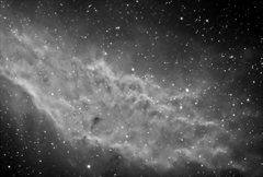 NGC 1499 (Per)