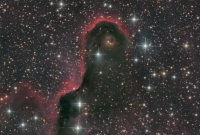 IC 1396a (Cep)