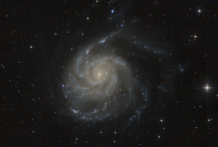 M101 (UMa)