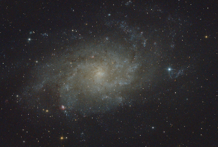 M33 (Tri)