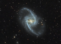 NGC 1365 (For)