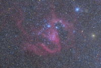 NGC 1910 (Dor)