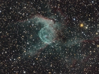 NGC 2359 (CMa)
