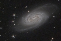 NGC 2903 (Leo)