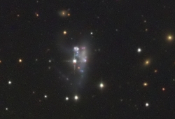 NGC 3239 (Leo), Arp 263
