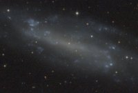 NGC 4236 (Dra)