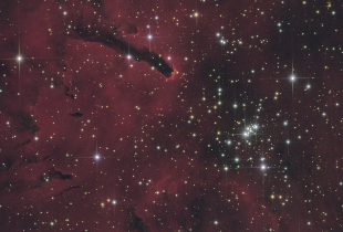 NGC 6823 (Vul)