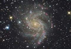 NGC 6946 (Cyg)