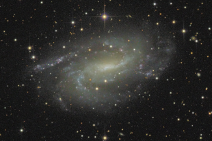 NGC 925 (Tri)