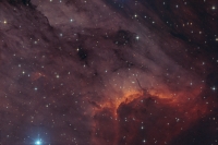 IC 5070 (Cyg), Pelican-Nebula
